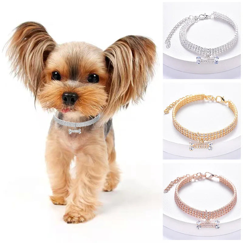 Ajustável Pet Colar com Diamante Zircão Osso Pingente, Luxo Metal Cobre Filhote de Cachorro Coleiras, Cão Suprimentos, Coleira Jóias, Gato