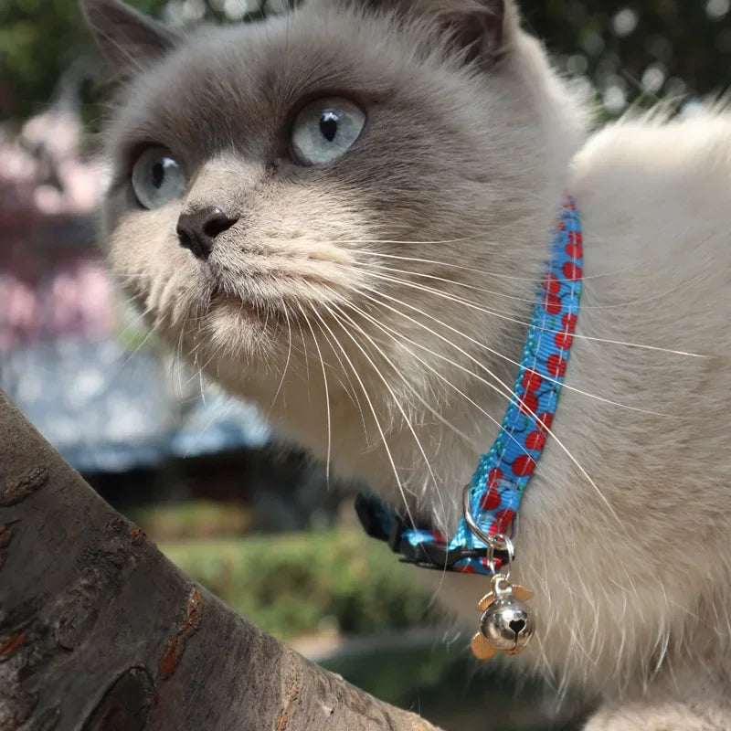 Colar pingente ajustável com sinos para animais de estimação, gato bonito coleiras, lua e estrela, frutas padrão, cachorro e gatinho, coelho